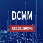 數(shù)據(jù)管理能力成熟度模型DCMM評估